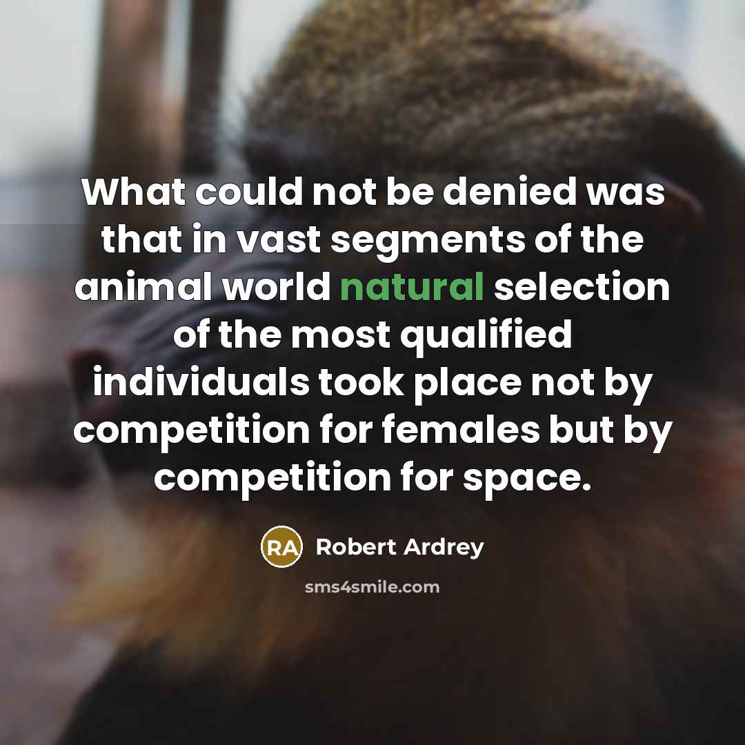 “What could not be denied was that in vast segments of the animal world natural selection of the most qualified individuals took place not by competition for females but by competition for space.” quote by Robert Ardrey
