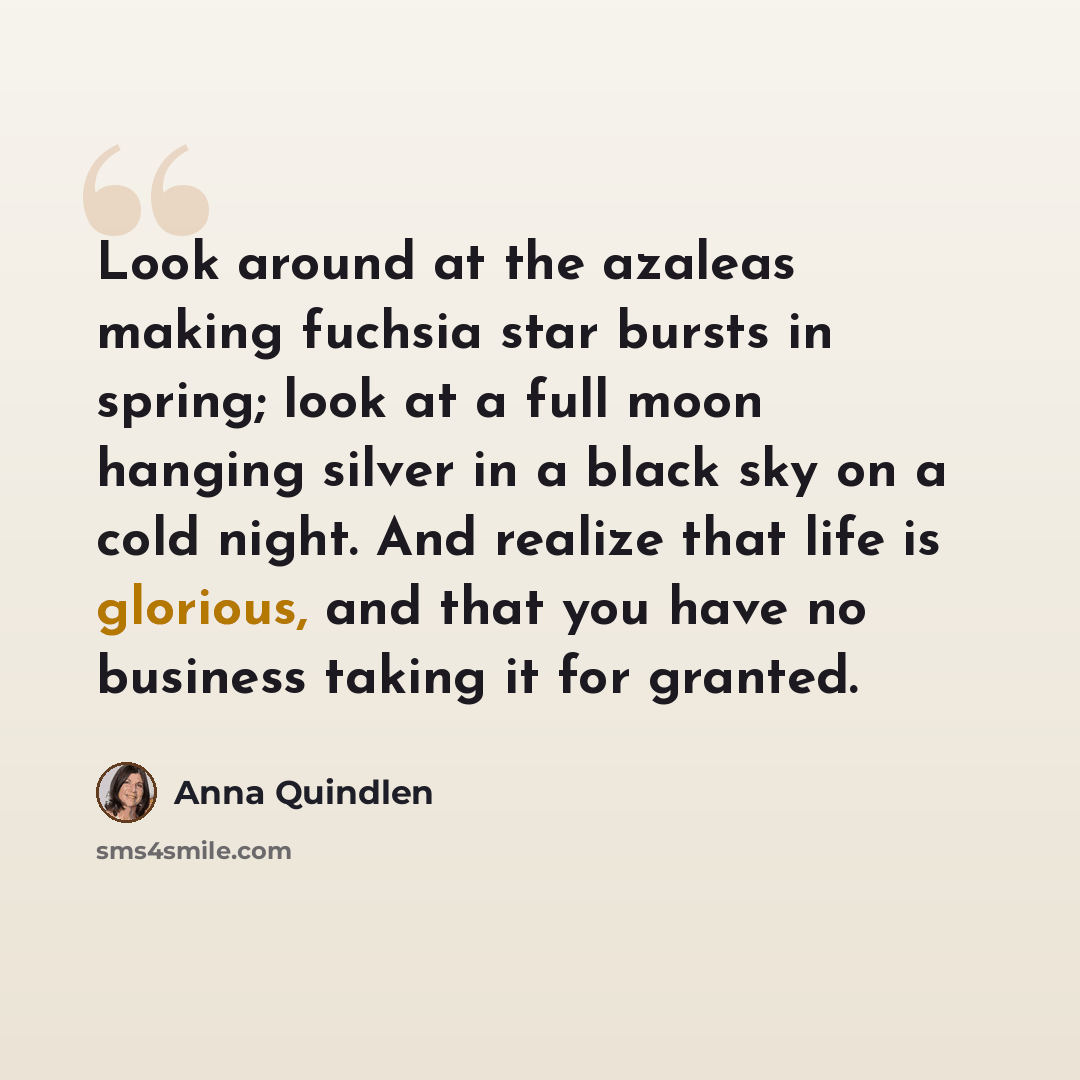 “Look around at the azaleas making fuchsia star bursts in spring; look at a full moon hanging silver in a black sky on a cold night. And realize that life is glorious, and that you have no business taking it for granted.” quote by Anna Quindlen