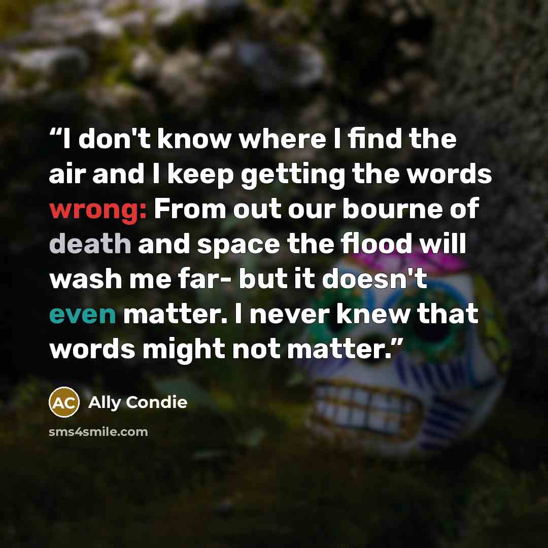 “I don't know where I find the air and I keep getting the words wrong: From out our bourne of death and space the flood will wash me far- but it doesn't even matter. I never knew that words might not matter.” quote by Ally Condie