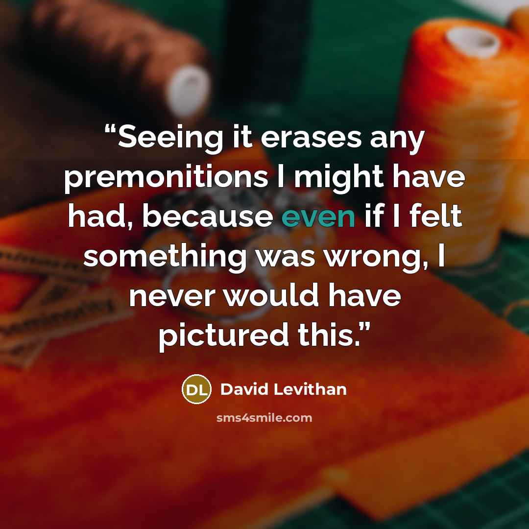 “Seeing it erases any premonitions I might have had, because even if I felt something was wrong, I never would have pictured this.” quote by David Levithan