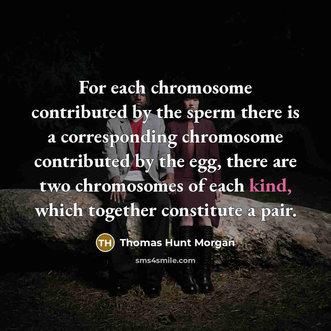 “For each chromosome contributed by the sperm there is a corresponding chromosome contributed by the egg, there are two chromosomes of each kind, which together constitute a pair.” quote by Thomas Hunt Morgan