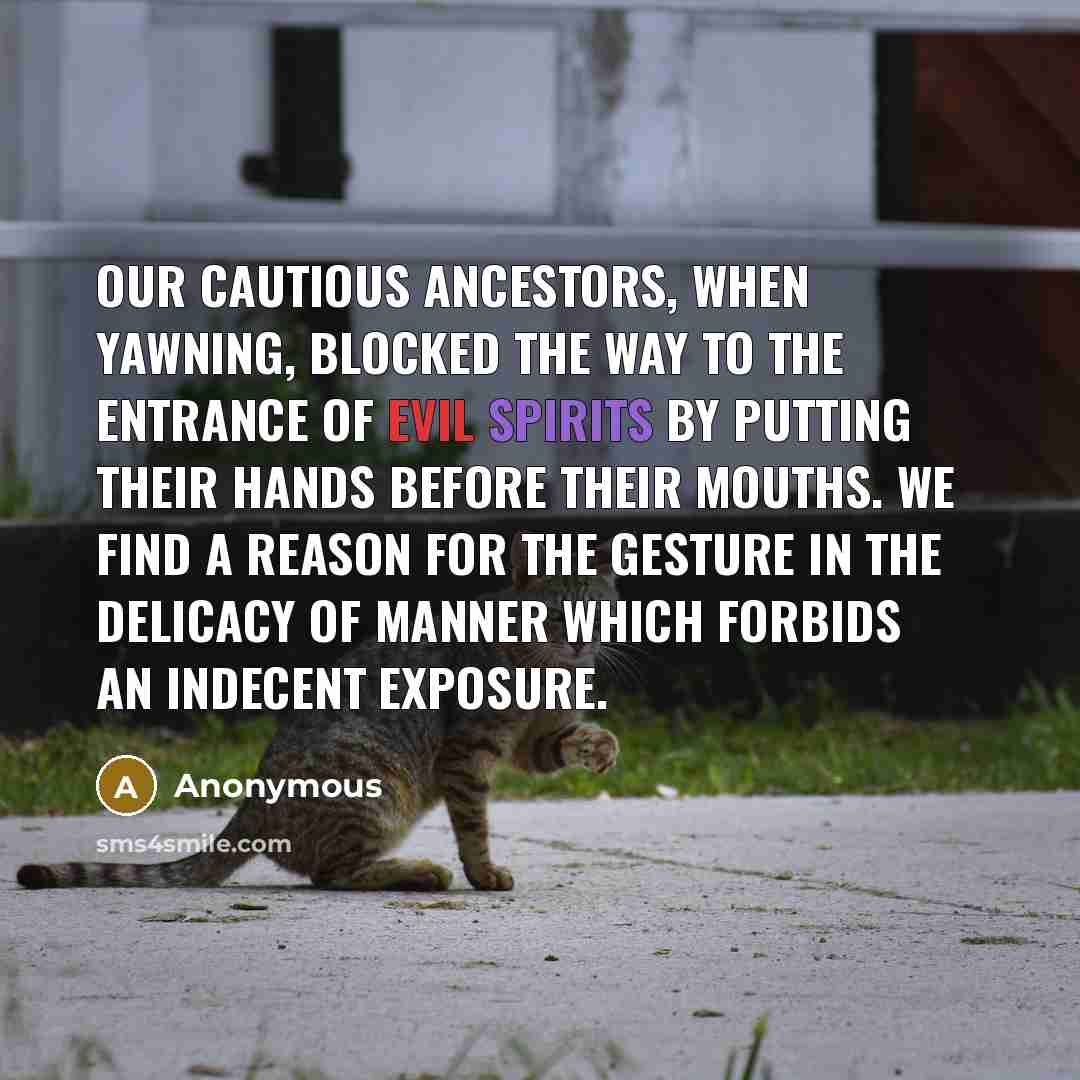 “Our cautious ancestors, when yawning, blocked the way to the entrance of evil spirits by putting their hands before their mouths. We find a reason for the gesture in the delicacy of manner which forbids an indecent exposure.” quote by Anonymous