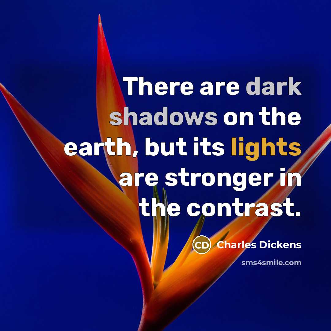 “There are dark shadows on the earth, but its lights are stronger in the contrast.” quote by Charles Dickens