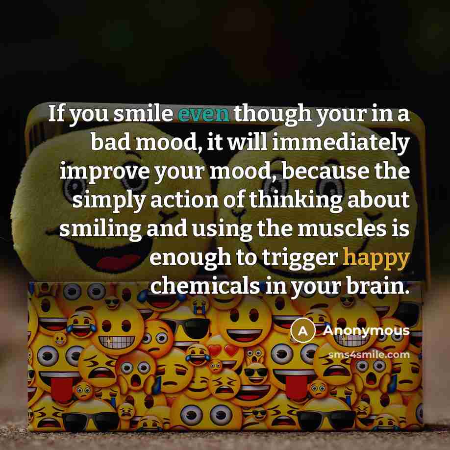 “If you smile even though your in a bad mood, it will immediately improve your mood, because the simply action of thinking about smiling and using the muscles is enough to trigger happy chemicals in your brain.” quote by Anonymous