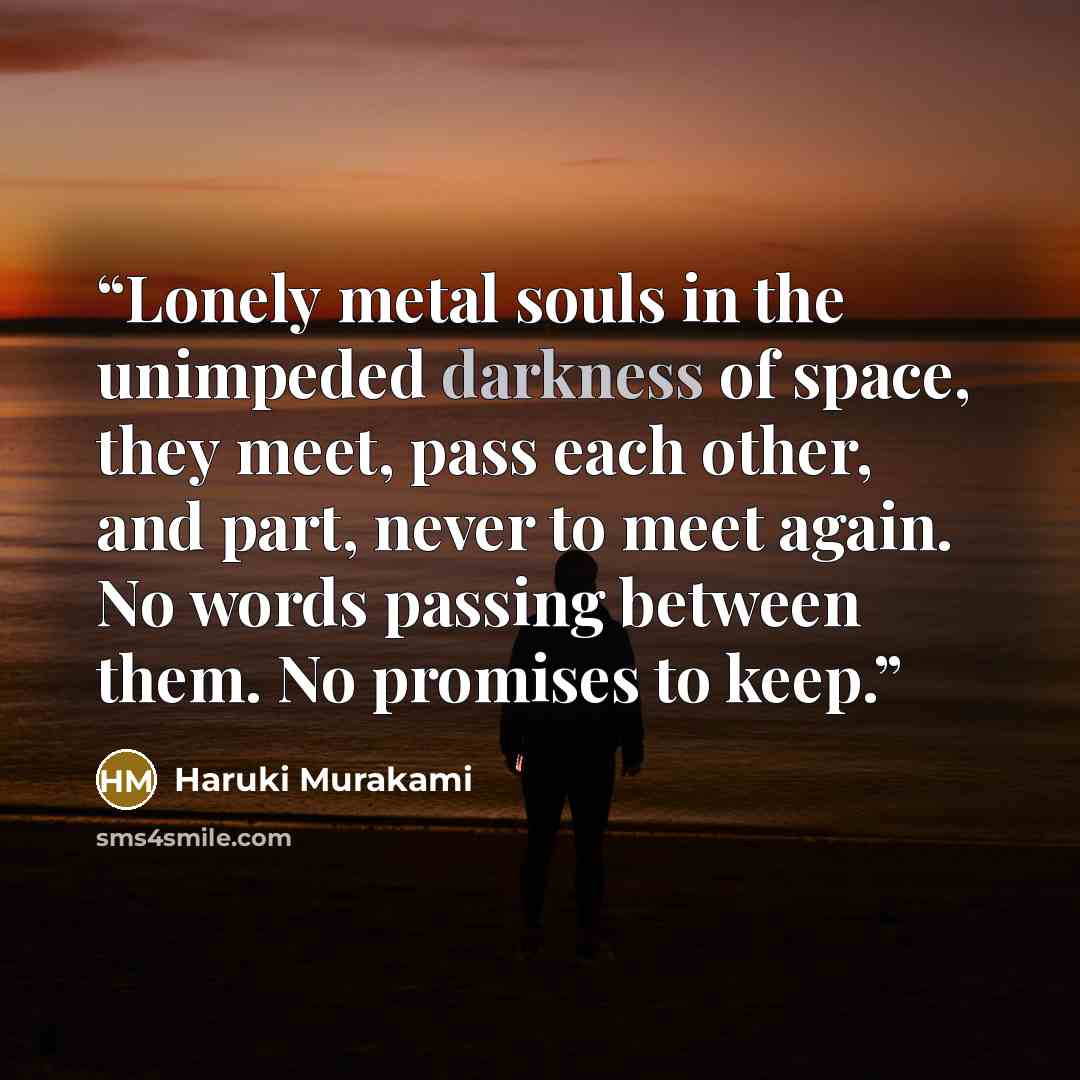 “Lonely metal souls in the unimpeded darkness of space, they meet, pass each other, and part, never to meet again. No words passing between them. No promises to keep.” quote by Haruki Murakami