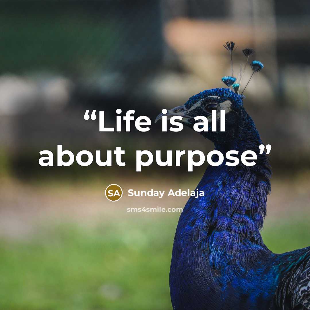 “Life is all about purpose” quote by Sunday Adelaja