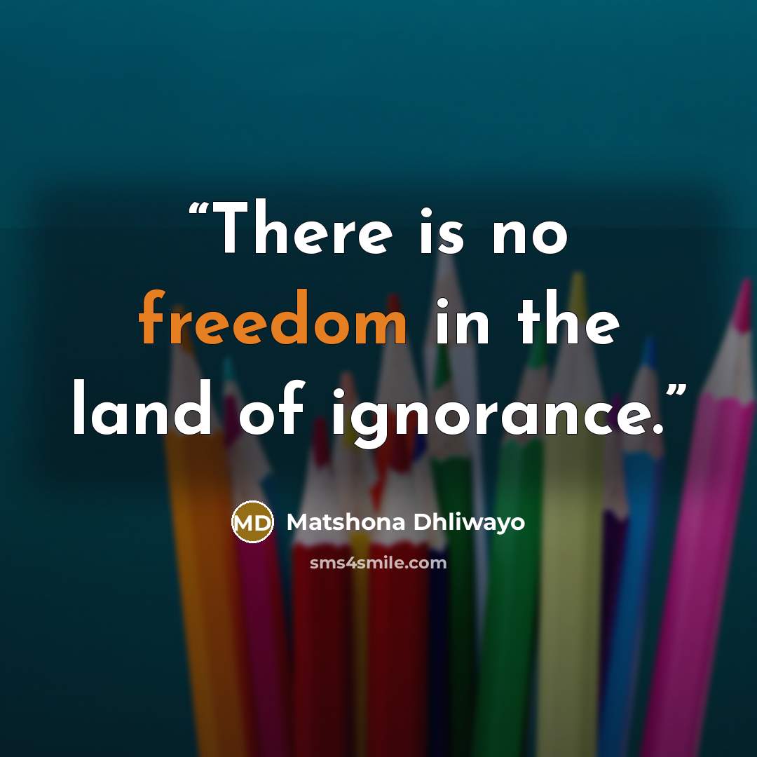 “There is no freedom in the land of ignorance.” quote by Matshona Dhliwayo