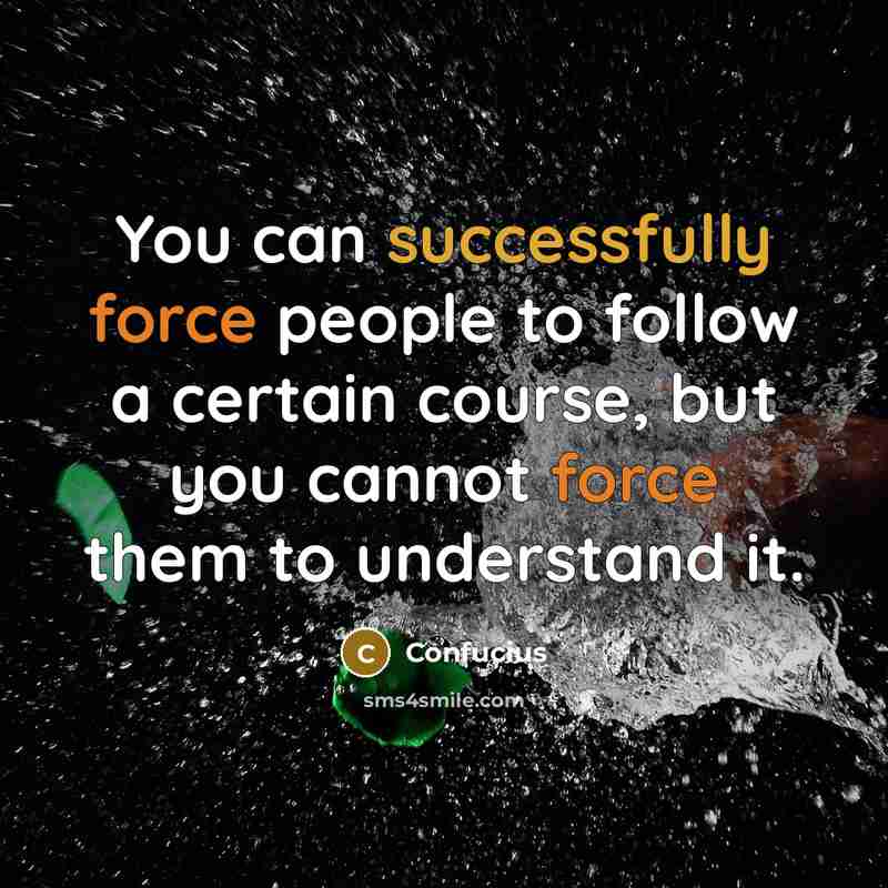 “You can successfully force people to follow a certain course, but you cannot force them to understand it.” quote by Confucius
