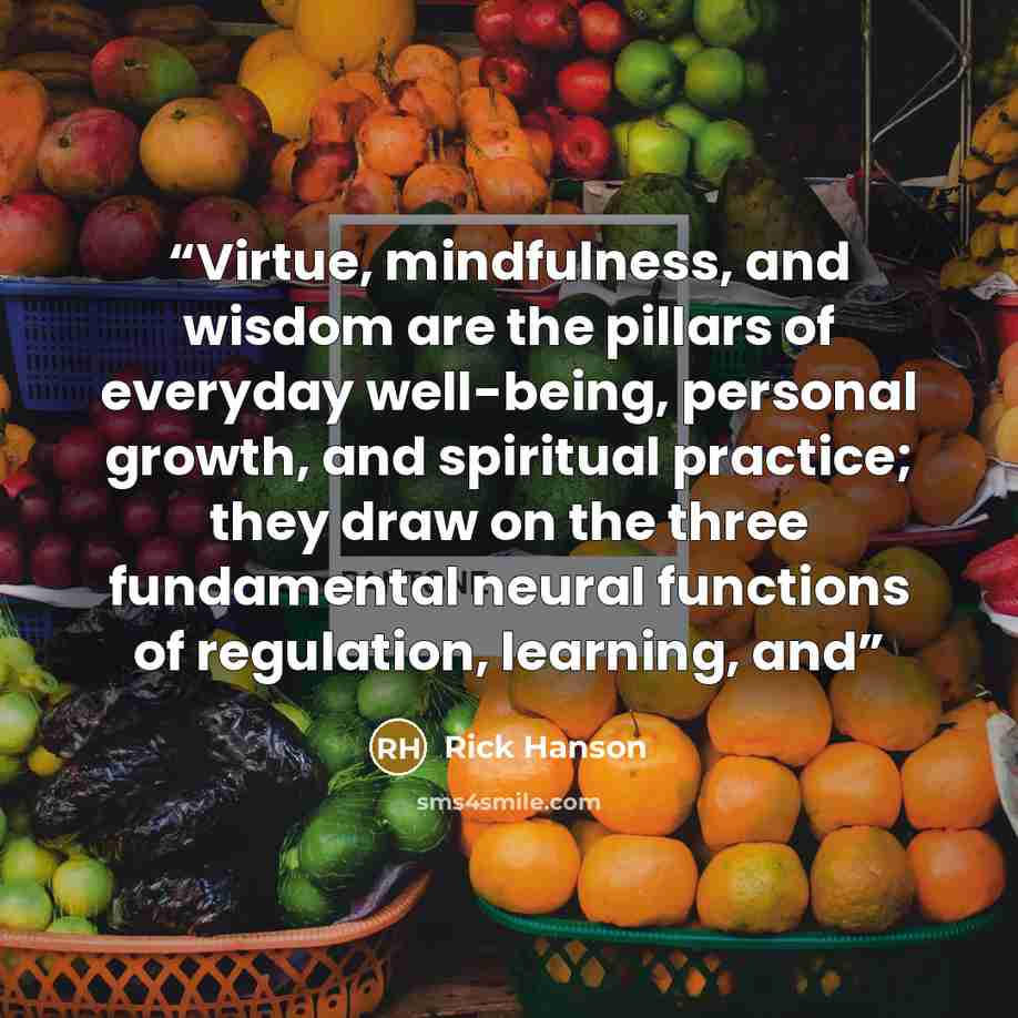 “Virtue, mindfulness, and wisdom are the pillars of everyday well-being, personal growth, and spiritual practice; they draw on the three fundamental neural functions of regulation, learning, and” quote by Rick Hanson