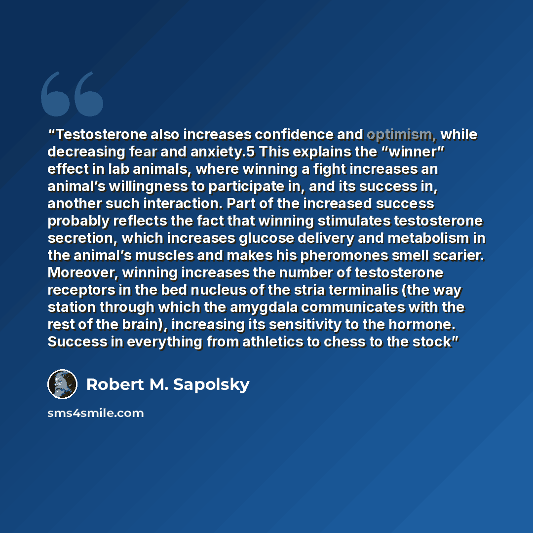 “Testosterone also increases confidence and optimism, while decreasing fear and anxiety.5 This explains the “winner” effect in lab animals, where winning a fight increases an animal’s willingness to participate in, and its success in, another such interaction. Part of the increased success probably…” quote by Robert M. Sapolsky