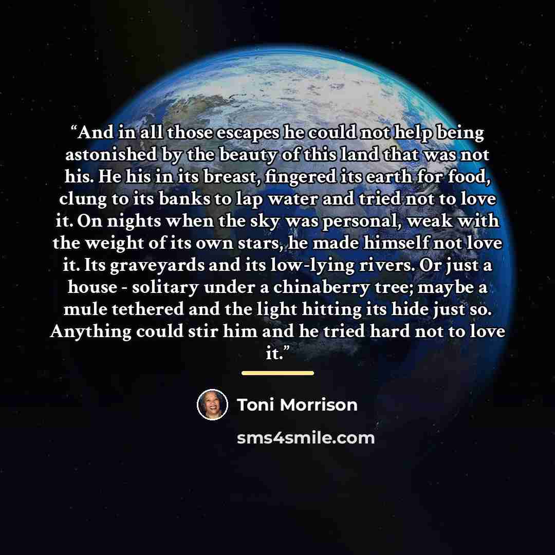 “And in all those escapes he could not help being astonished by the beauty of this land that was not his. He his in its breast, fingered its earth for food, clung to its banks to lap water and tried not to love it. On nights when the sky was personal, weak with the weight of its own stars, he made…” quote by Toni Morrison