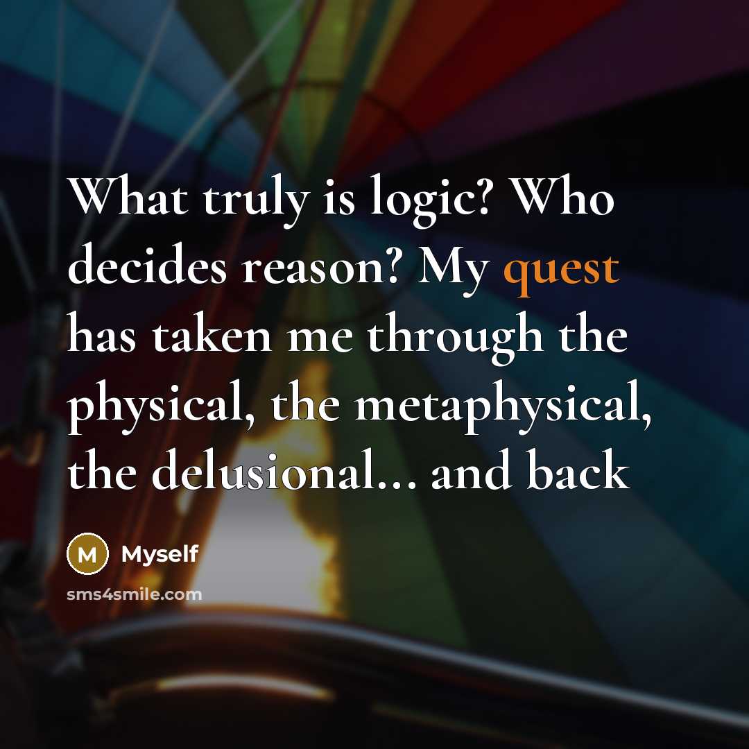 “What truly is logic? Who decides reason? My quest has taken me through the physical, the metaphysical, the delusional... and back” quote by Myself