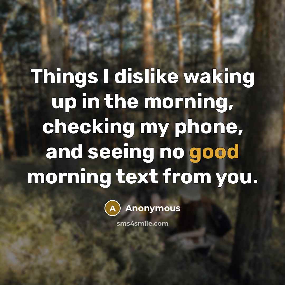 “Things I dislike waking up in the morning, checking my phone, and seeing no good morning text from you.” quote by Anonymous