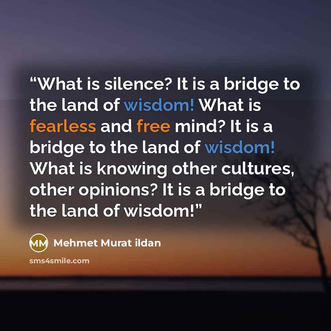 “What is silence? It is a bridge to the land of wisdom! What is fearless and free mind? It is a bridge to the land of wisdom! What is knowing other cultures, other opinions? It is a bridge to the land of wisdom!” quote by Mehmet Murat ildan