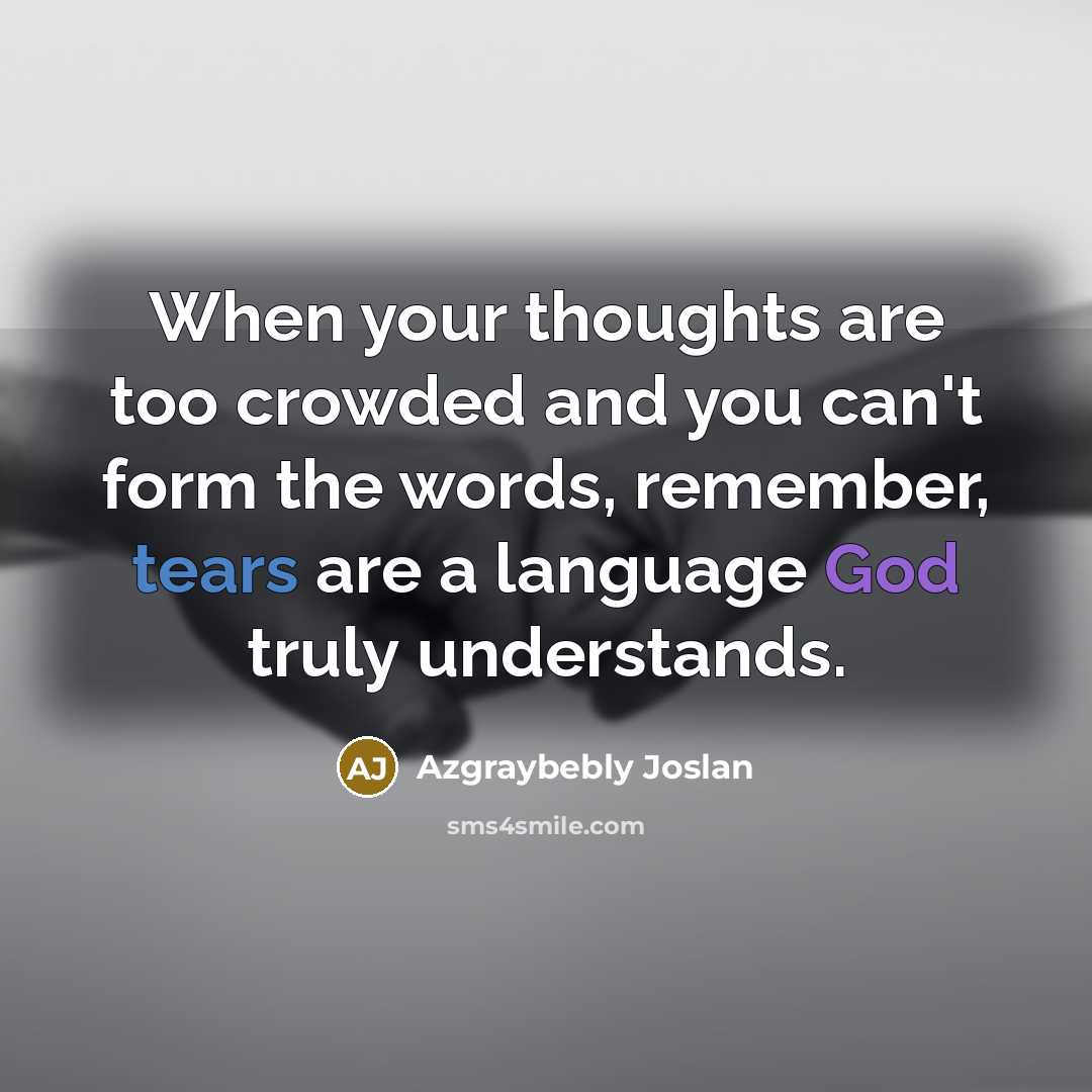 “When your thoughts are too crowded and you can't form the words, remember, tears are a language God truly understands.” quote by Azgraybebly Joslan