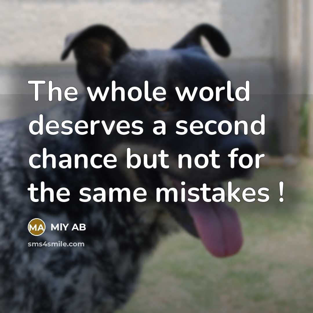 “The whole world deserves a second chance but not for the same mistakes !” quote by MLY AB
