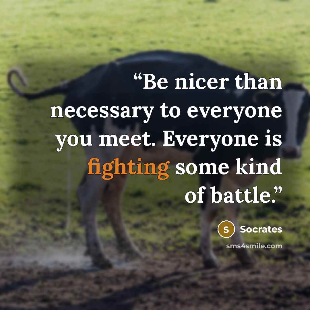 “Be nicer than necessary to everyone you meet. Everyone is fighting some kind of battle.” quote by Socrates