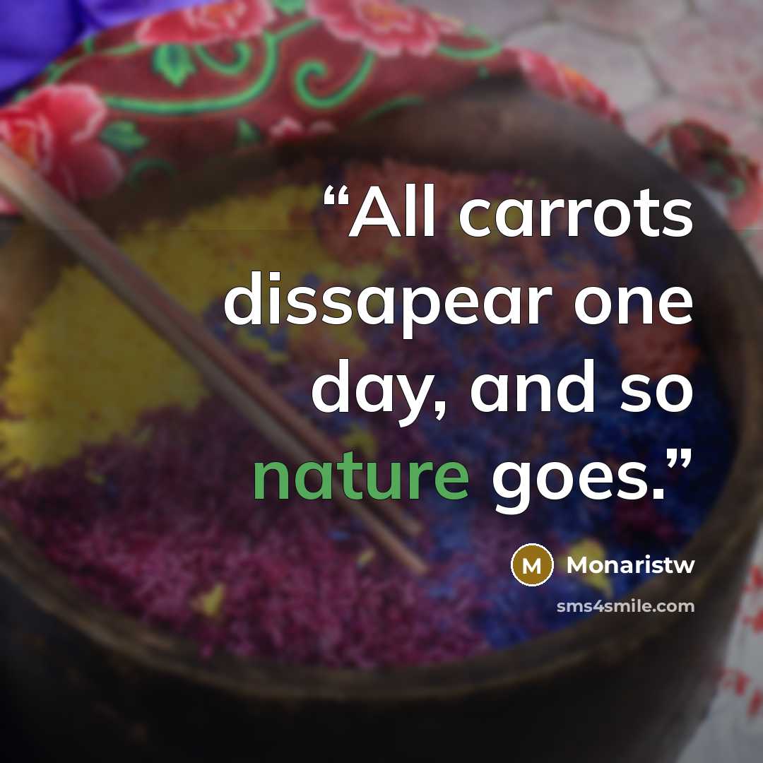 “All carrots dissapear one day, and so nature goes.” quote by Monaristw