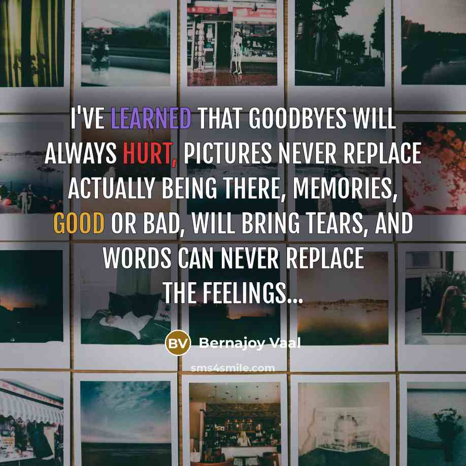 “I've learned that goodbyes will always hurt, pictures never replace actually being there, memories, good or bad, will bring tears, and words can never replace the feelings...” quote by Bernajoy Vaal