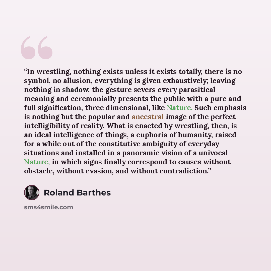 “In wrestling, nothing exists unless it exists totally, there is no symbol, no allusion, everything is given exhaustively; leaving nothing in shadow, the gesture severs every parasitical meaning and ceremonially presents the public with a pure and full signification, three dimensional, like Nature…” quote by Roland Barthes