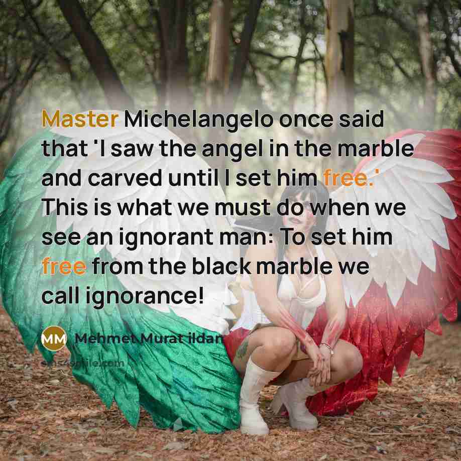 “Master Michelangelo once said that 'I saw the angel in the marble and carved until I set him free.' This is what we must do when we see an ignorant man: To set him free from the black marble we call ignorance!” quote by Mehmet Murat Ildan