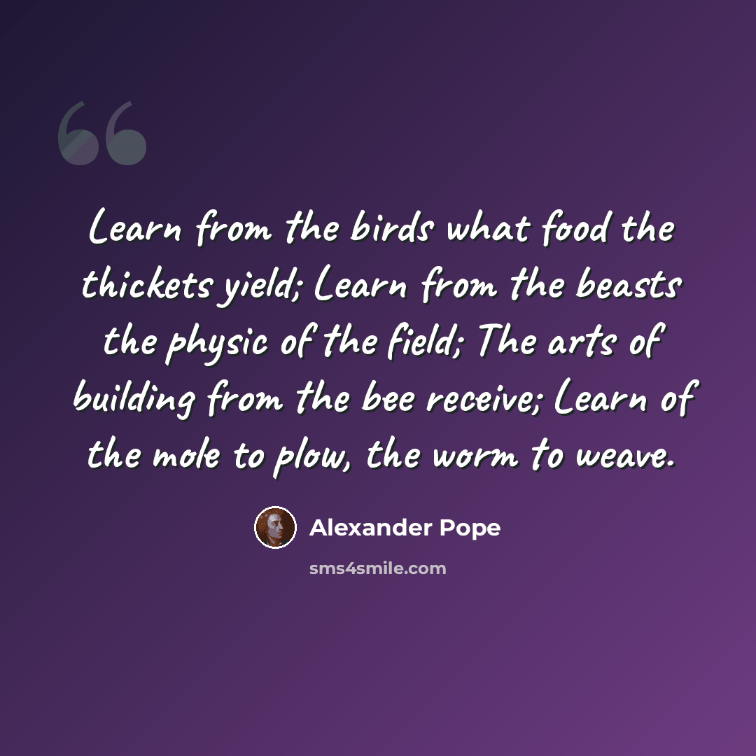 “Learn from the birds what food the thickets yield; Learn from the beasts the physic of the field; The arts of building from the bee receive; Learn of the mole to plow, the worm to weave.” quote by Alexander Pope