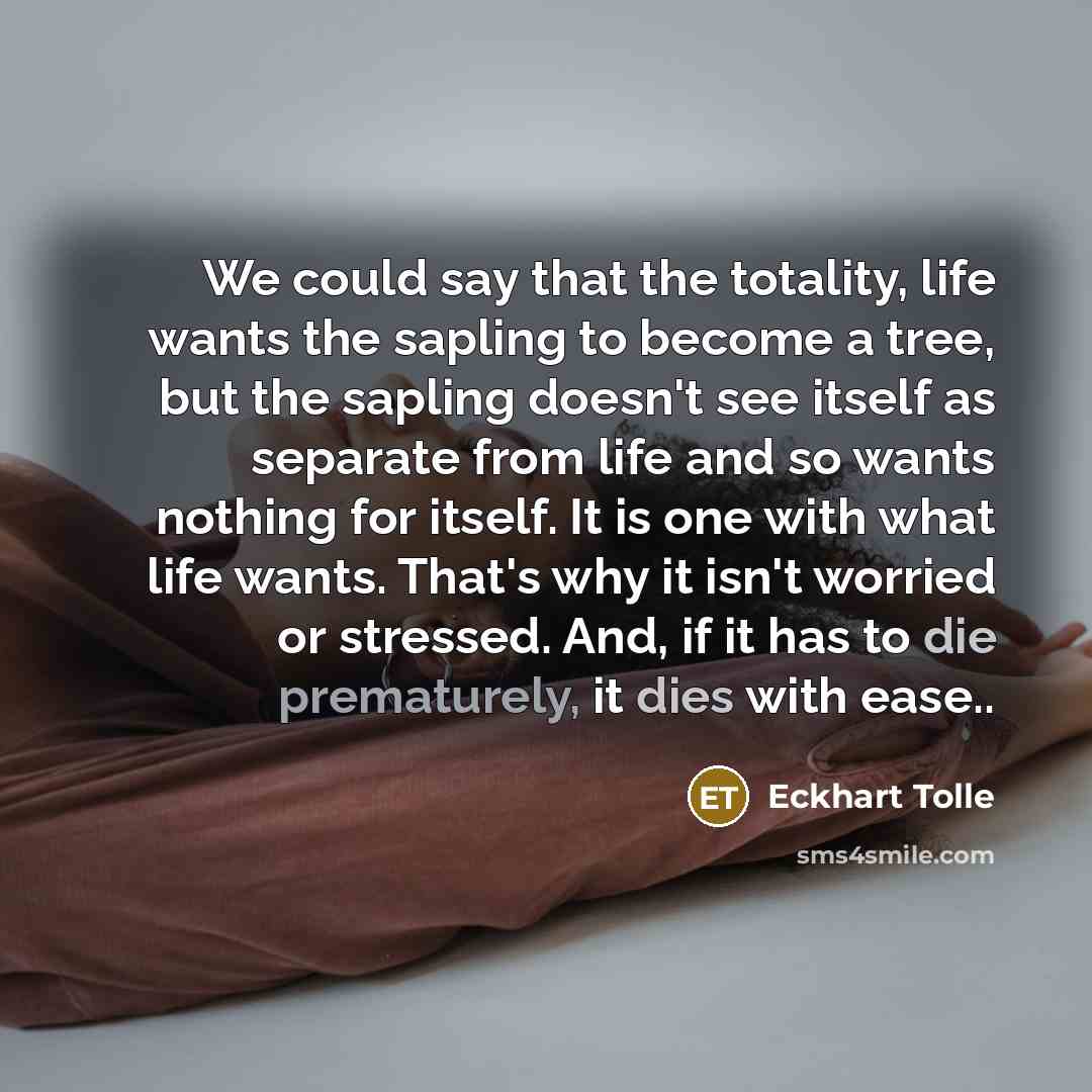 “We could say that the totality, life wants the sapling to become a tree, but the sapling doesn't see itself as separate from life and so wants nothing for itself. It is one with what life wants. That's why it isn't worried or stressed. And, if it has to die prematurely, it dies with ease..” quote by Eckhart Tolle