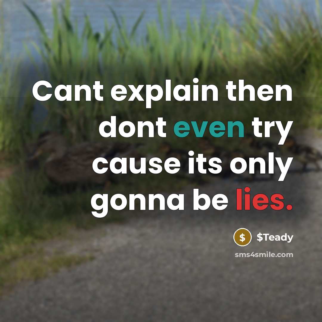 “Cant explain then dont even try cause its only gonna be lies.” quote by $Teady