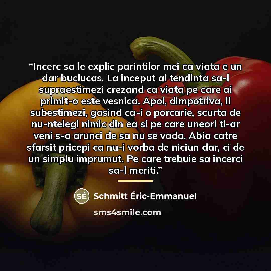 “Incerc sa le explic parintilor mei ca viata e un dar buclucas. La inceput ai tendinta sa-l supraestimezi crezand ca viata pe care ai primit-o este vesnica. Apoi, dimpotriva, il subestimezi, gasind ca-i o porcarie, scurta de nu-ntelegi nimic din ea si pe care uneori ti-ar veni s-o arunci de sa nu…” quote by Schmitt Éric-Emmanuel