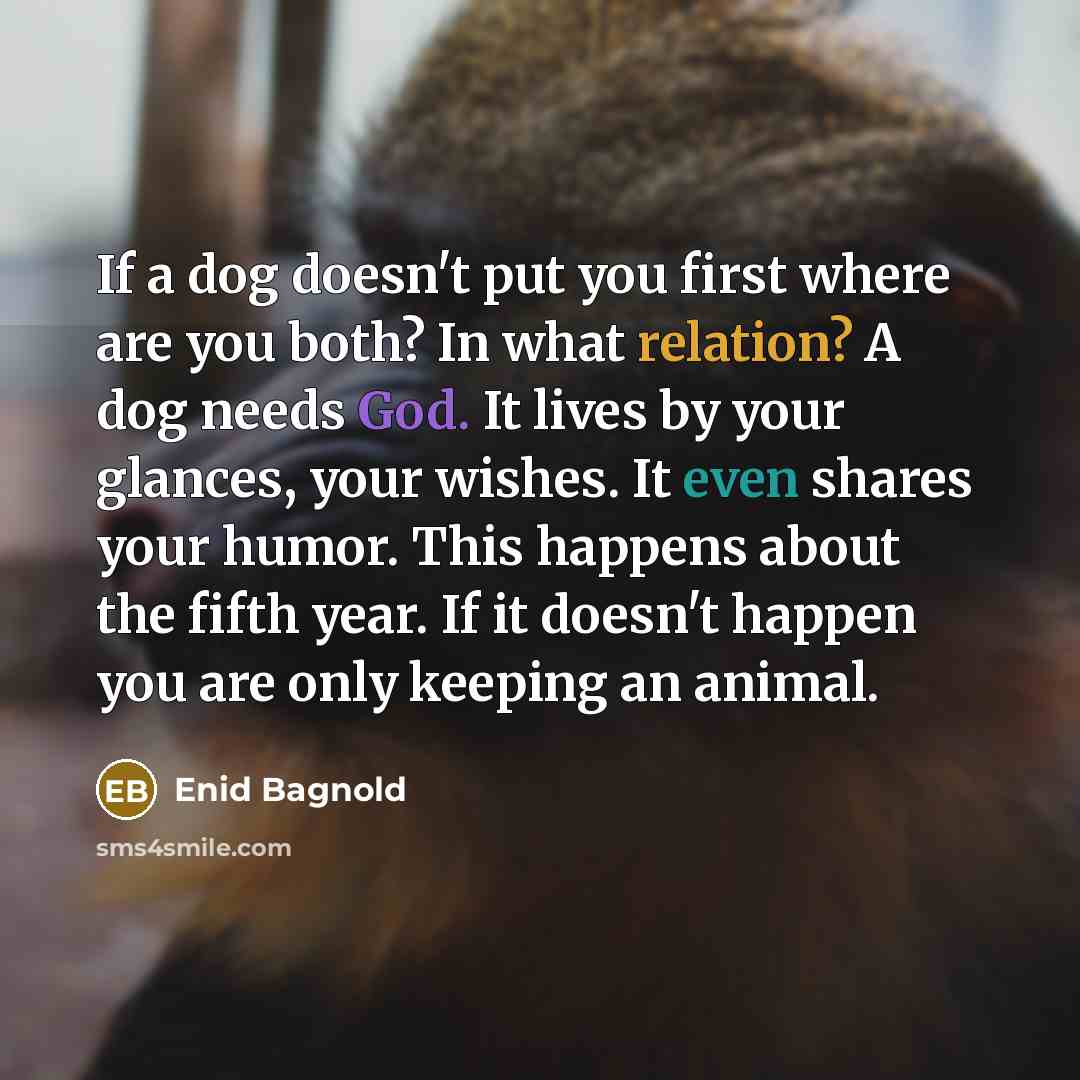 “If a dog doesn't put you first where are you both? In what relation? A dog needs God. It lives by your glances, your wishes. It even shares your humor. This happens about the fifth year. If it doesn't happen you are only keeping an animal.” quote by Enid Bagnold