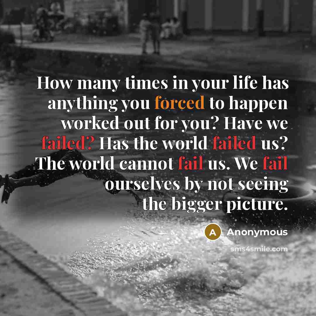 “How many times in your life has anything you forced to happen worked out for you? Have we failed? Has the world failed us? The world cannot fail us. We fail ourselves by not seeing the bigger picture.” quote by Anonymous