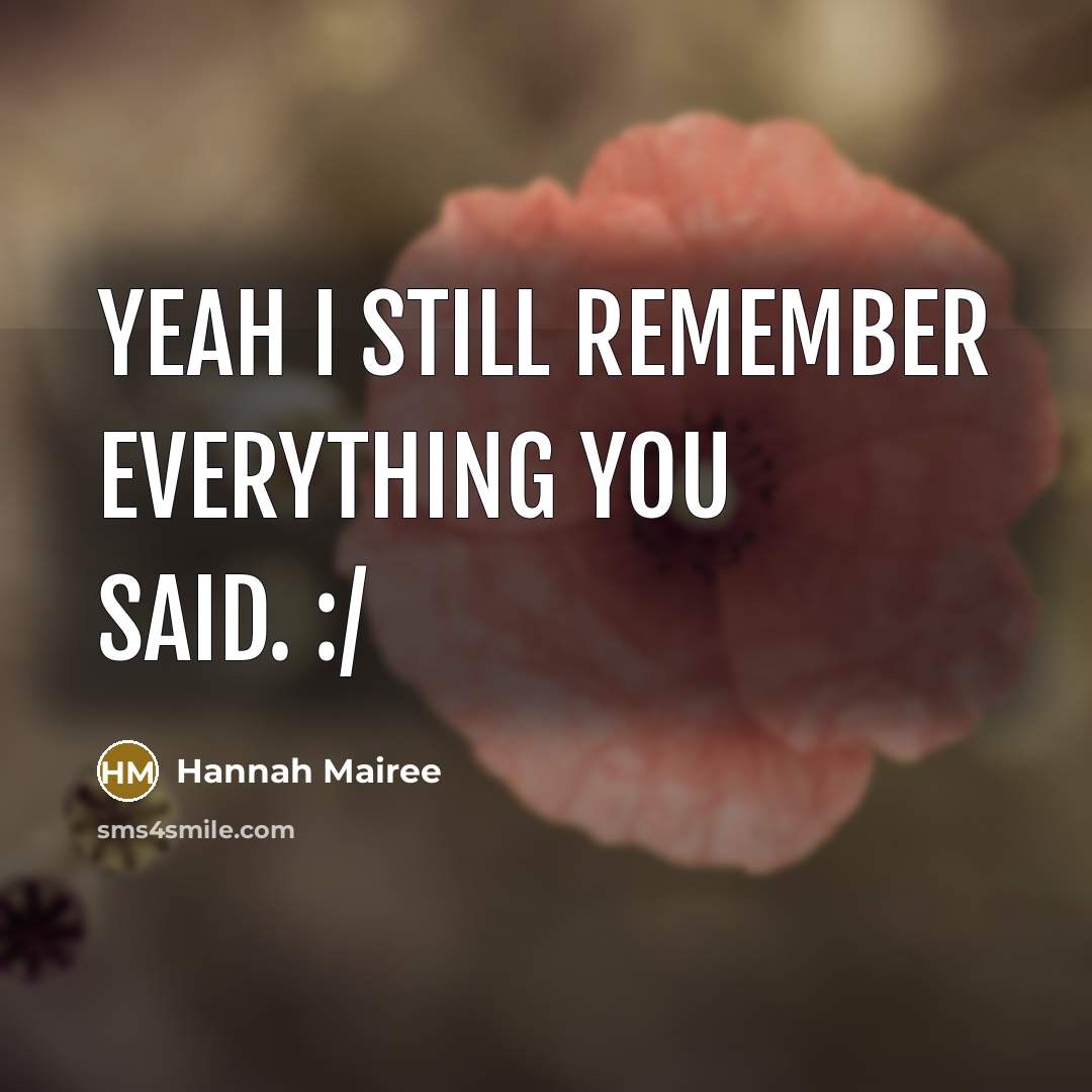 “Yeah I still remember everything you said. :/” quote by Hannah Mairee