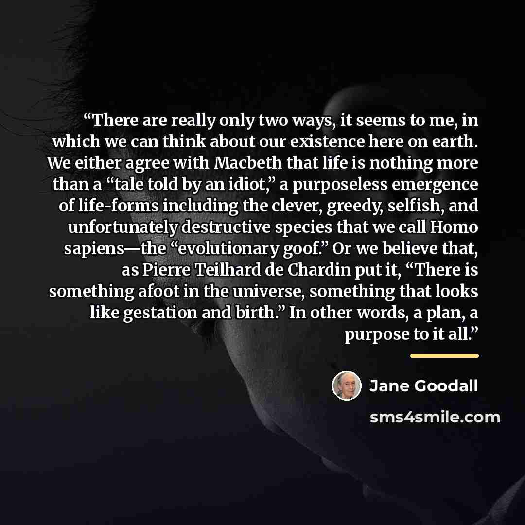 “There are really only two ways, it seems to me, in which we can think about our existence here on earth. We either agree with Macbeth that life is nothing more than a “tale told by an idiot,” a purposeless emergence of life-forms including the clever, greedy, selfish, and unfortunately destructive…” quote by Jane Goodall