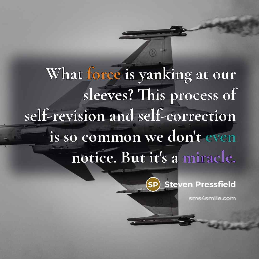 “What force is yanking at our sleeves? This process of self-revision and self-correction is so common we don't even notice. But it's a miracle.” quote by Steven Pressfield