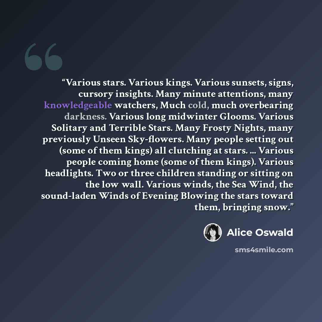 “Various stars. Various kings. Various sunsets, signs, cursory insights. Many minute attentions, many knowledgeable watchers, Much cold, much overbearing darkness. Various long midwinter Glooms. Various Solitary and Terrible Stars. Many Frosty Nights, many previously Unseen Sky-flowers. Many people…” quote by Alice Oswald