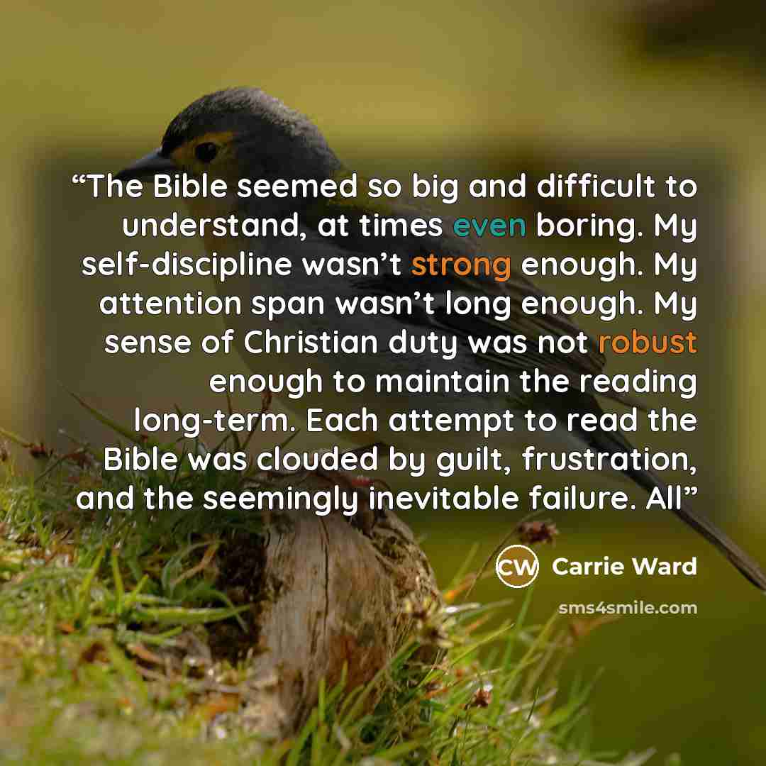 “The Bible seemed so big and difficult to understand, at times even boring. My self-discipline wasn’t strong enough. My attention span wasn’t long enough. My sense of Christian duty was not robust enough to maintain the reading long-term. Each attempt to read the Bible was clouded by guilt…” quote by Carrie Ward
