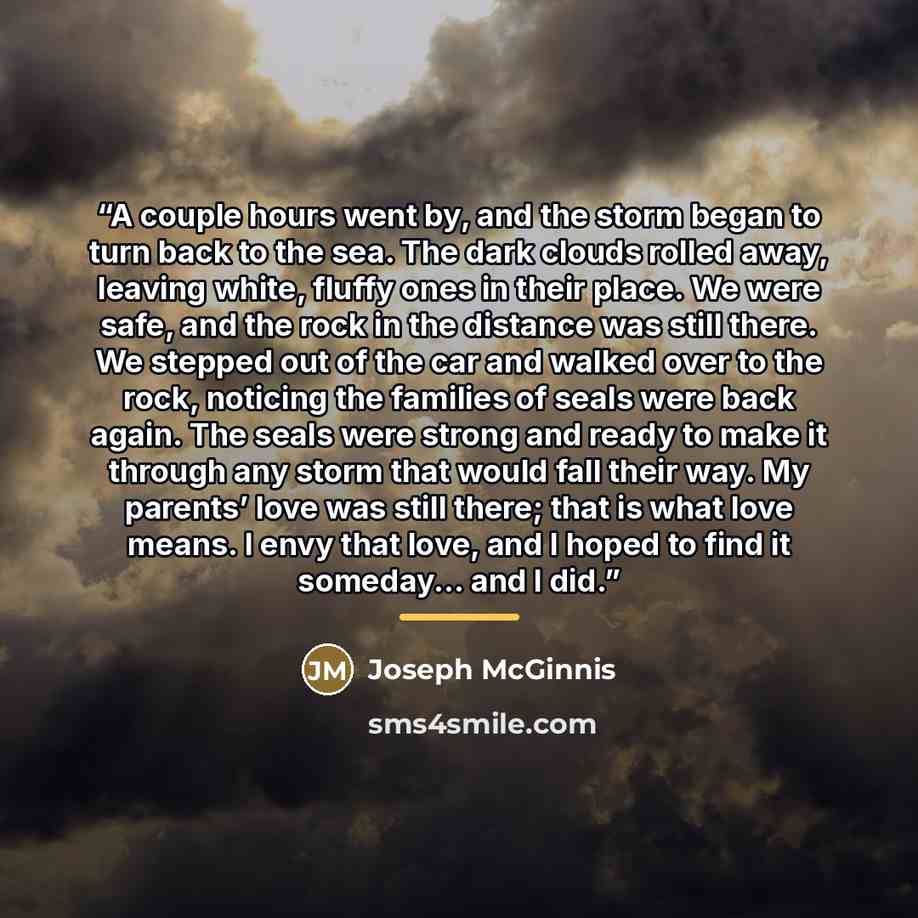 “A couple hours went by, and the storm began to turn back to the sea. The dark clouds rolled away, leaving white, fluffy ones in their place. We were safe, and the rock in the distance was still there. We stepped out of the car and walked over to the rock, noticing the families of seals were back…” quote by Joseph McGinnis