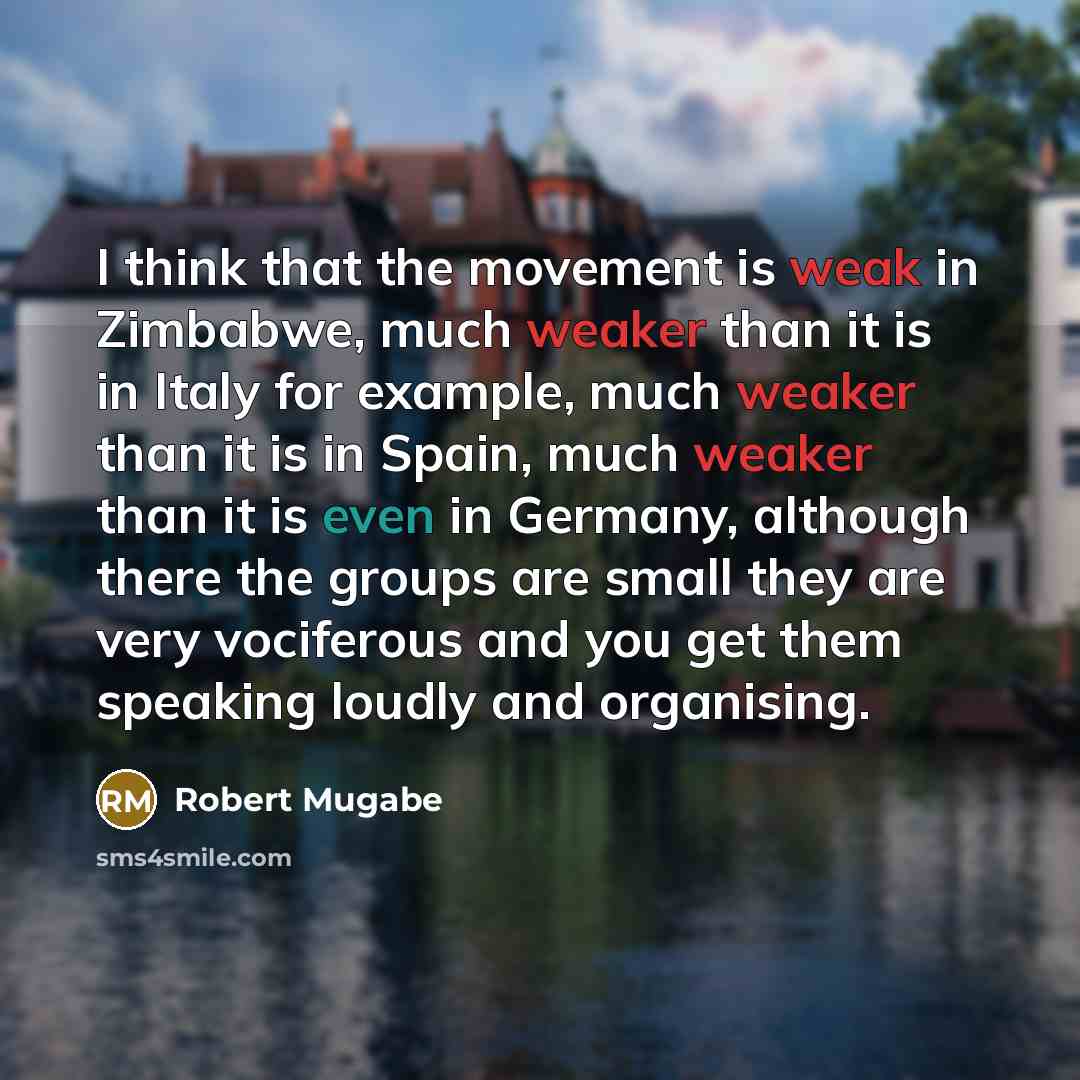 “I think that the movement is weak in Zimbabwe, much weaker than it is in Italy for example, much weaker than it is in Spain, much weaker than it is even in Germany, although there the groups are small they are very vociferous and you get them speaking loudly and organising.” quote by Robert Mugabe