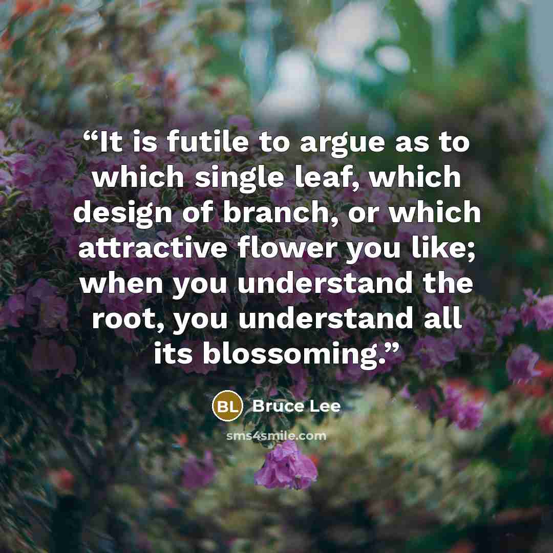 “It is futile to argue as to which single leaf, which design of branch, or which attractive flower you like; when you understand the root, you understand all its blossoming.” quote by Bruce Lee
