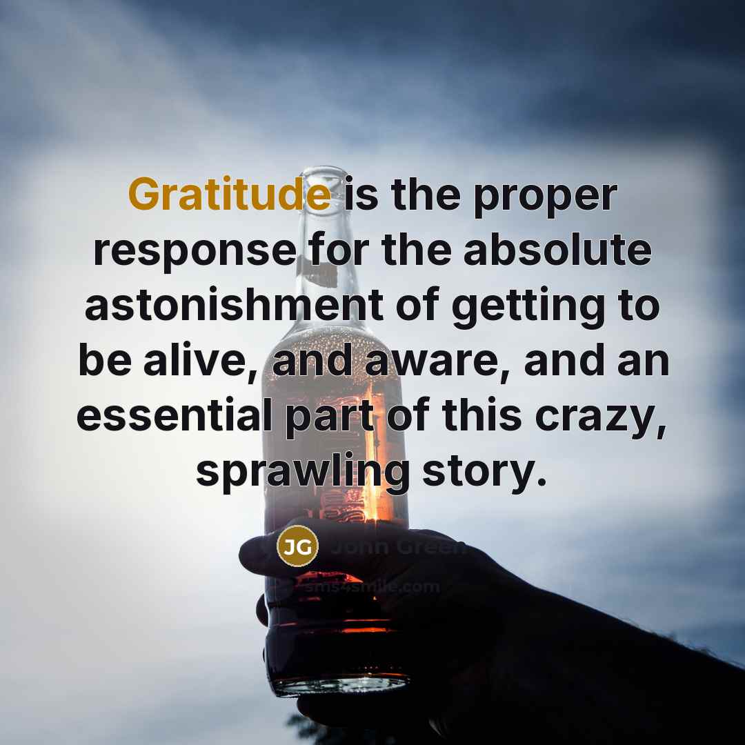 “Gratitude is the proper response for the absolute astonishment of getting to be alive, and aware, and an essential part of this crazy, sprawling story.” quote by John Green