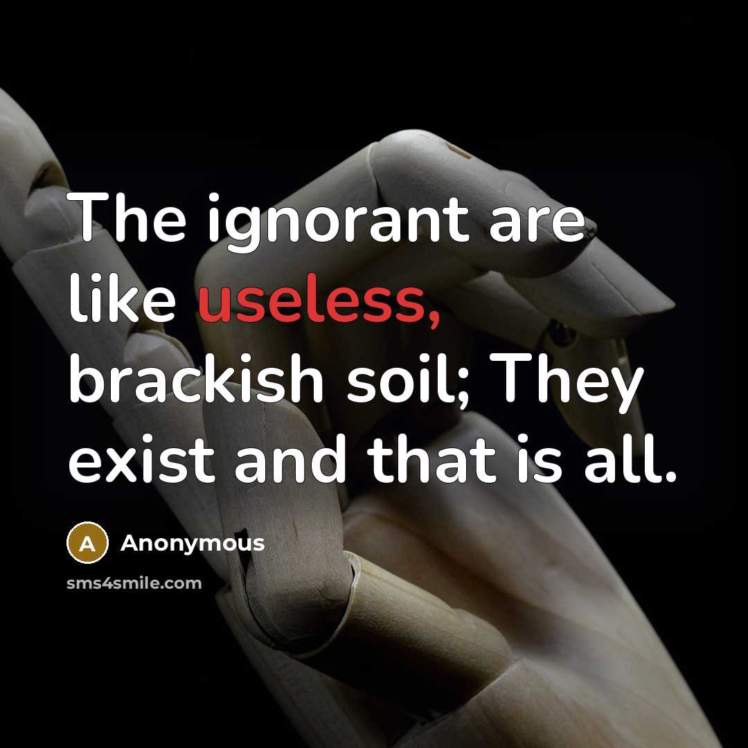 “The ignorant are like useless, brackish soil; They exist and that is all.” quote by Anonymous