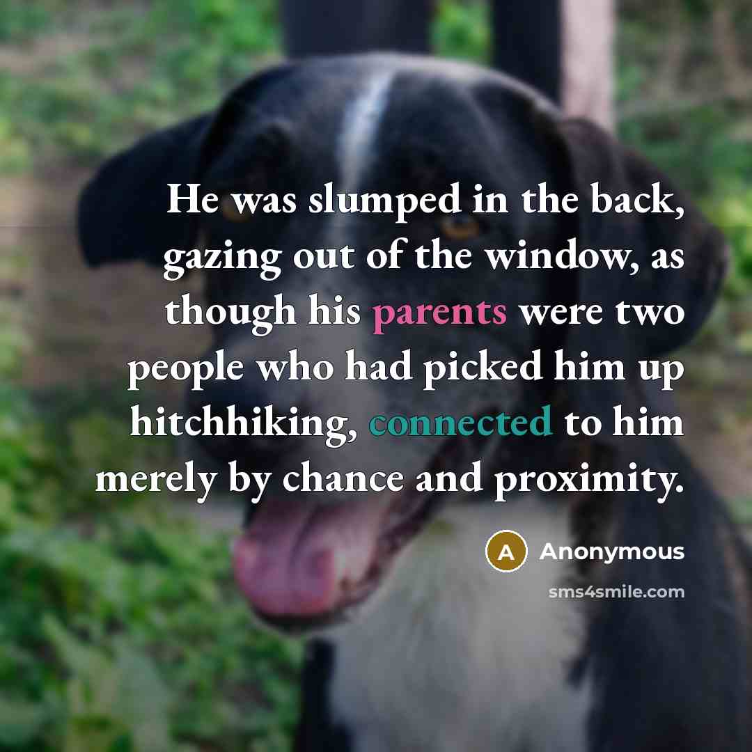 “He was slumped in the back, gazing out of the window, as though his parents were two people who had picked him up hitchhiking, connected to him merely by chance and proximity.” quote by Anonymous