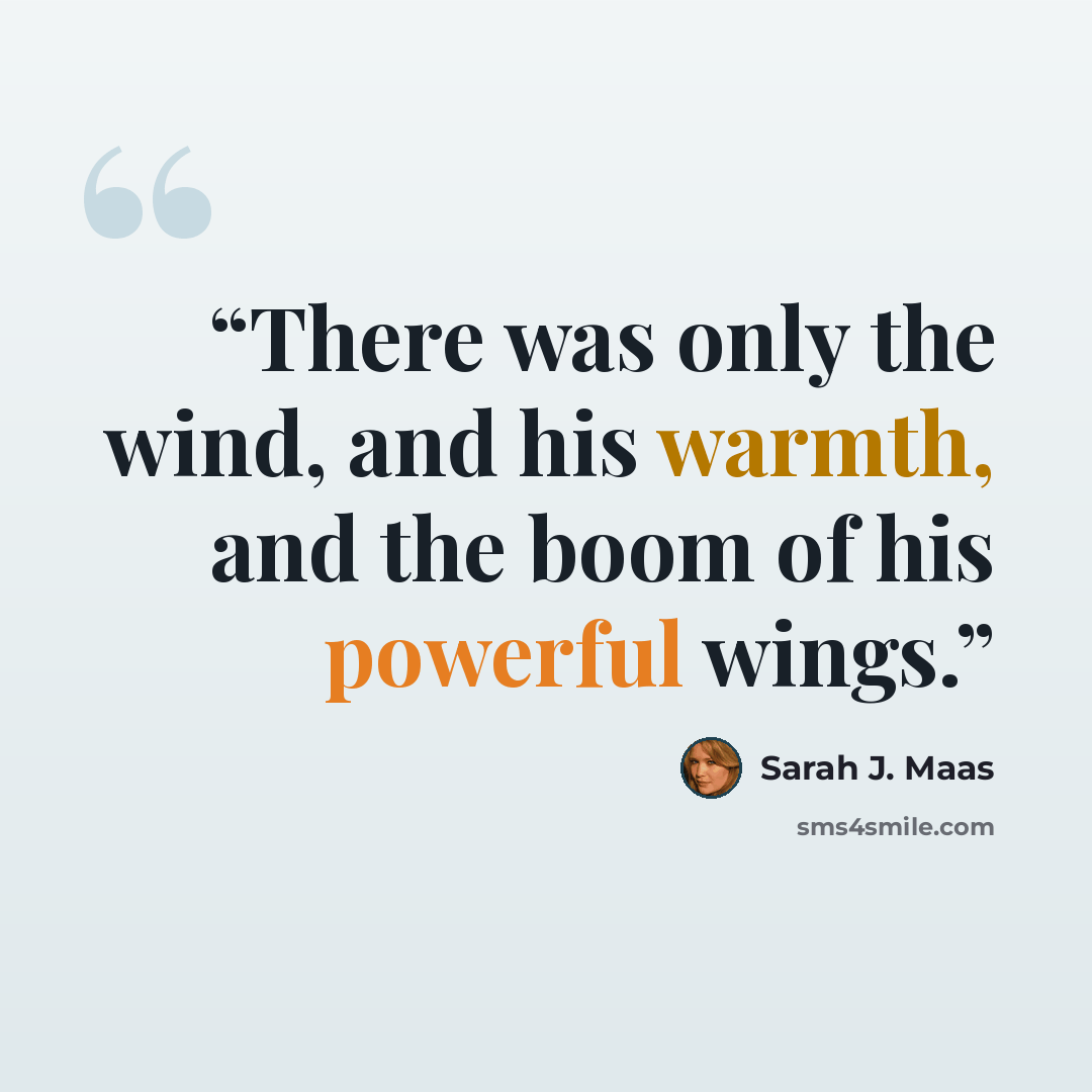 “There was only the wind, and his warmth, and the boom of his powerful wings.” quote by Sarah J. Maas