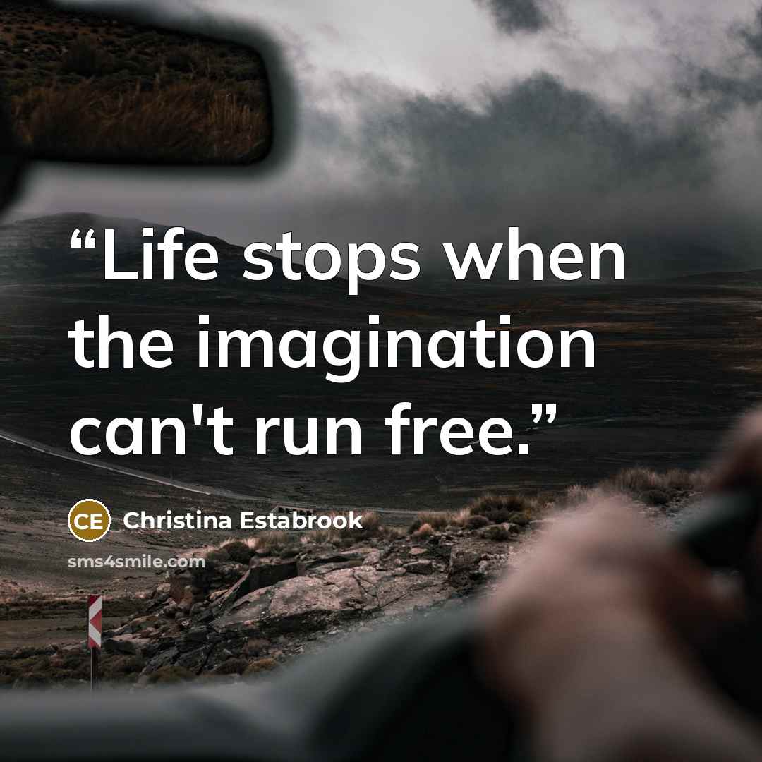 “Life stops when the imagination can't run free.” quote by Christina Estabrook