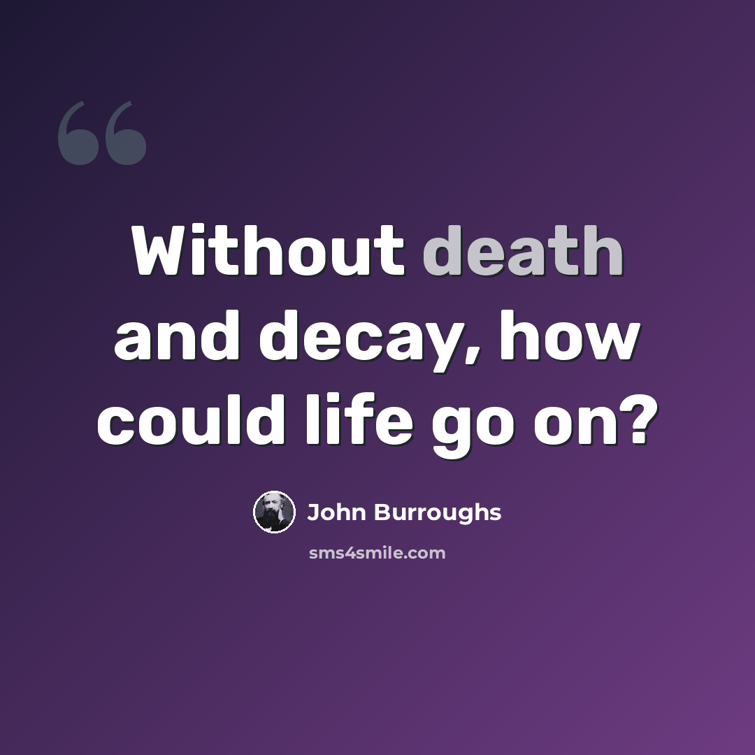 “Without death and decay, how could life go on?” quote by John Burroughs