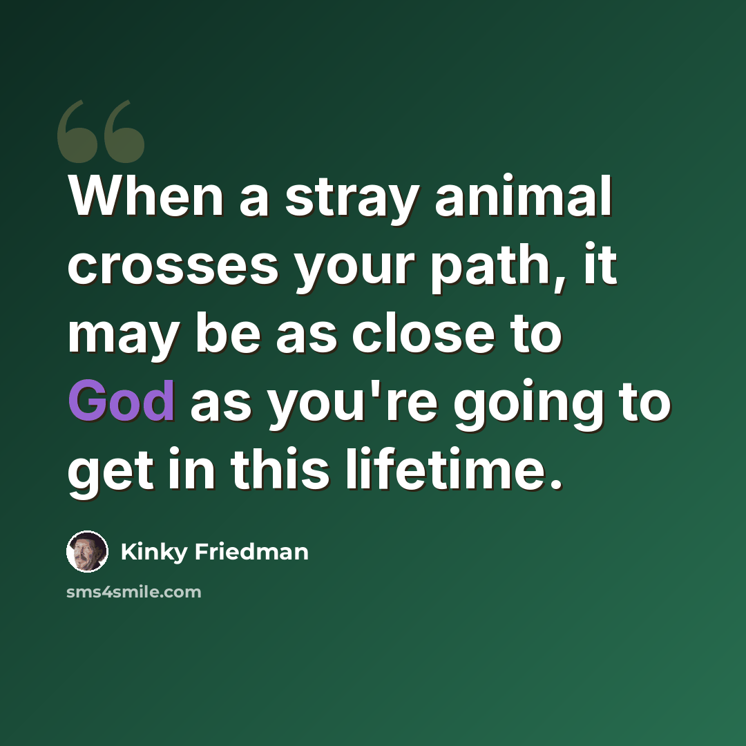 “When a stray animal crosses your path, it may be as close to God as you're going to get in this lifetime.” quote by Kinky Friedman