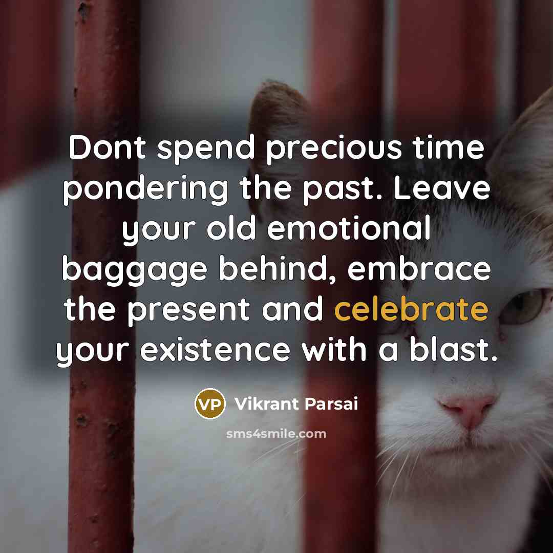 “Dont spend precious time pondering the past. Leave your old emotional baggage behind, embrace the present and celebrate your existence with a blast.” quote by Vikrant Parsai