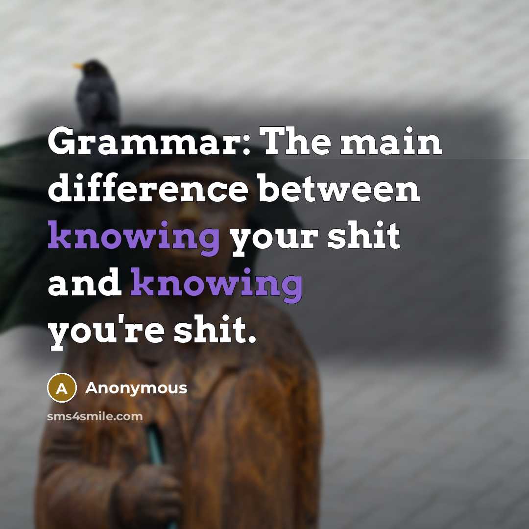 “Grammar: The main difference between knowing your shit and knowing you're shit.” quote by Anonymous
