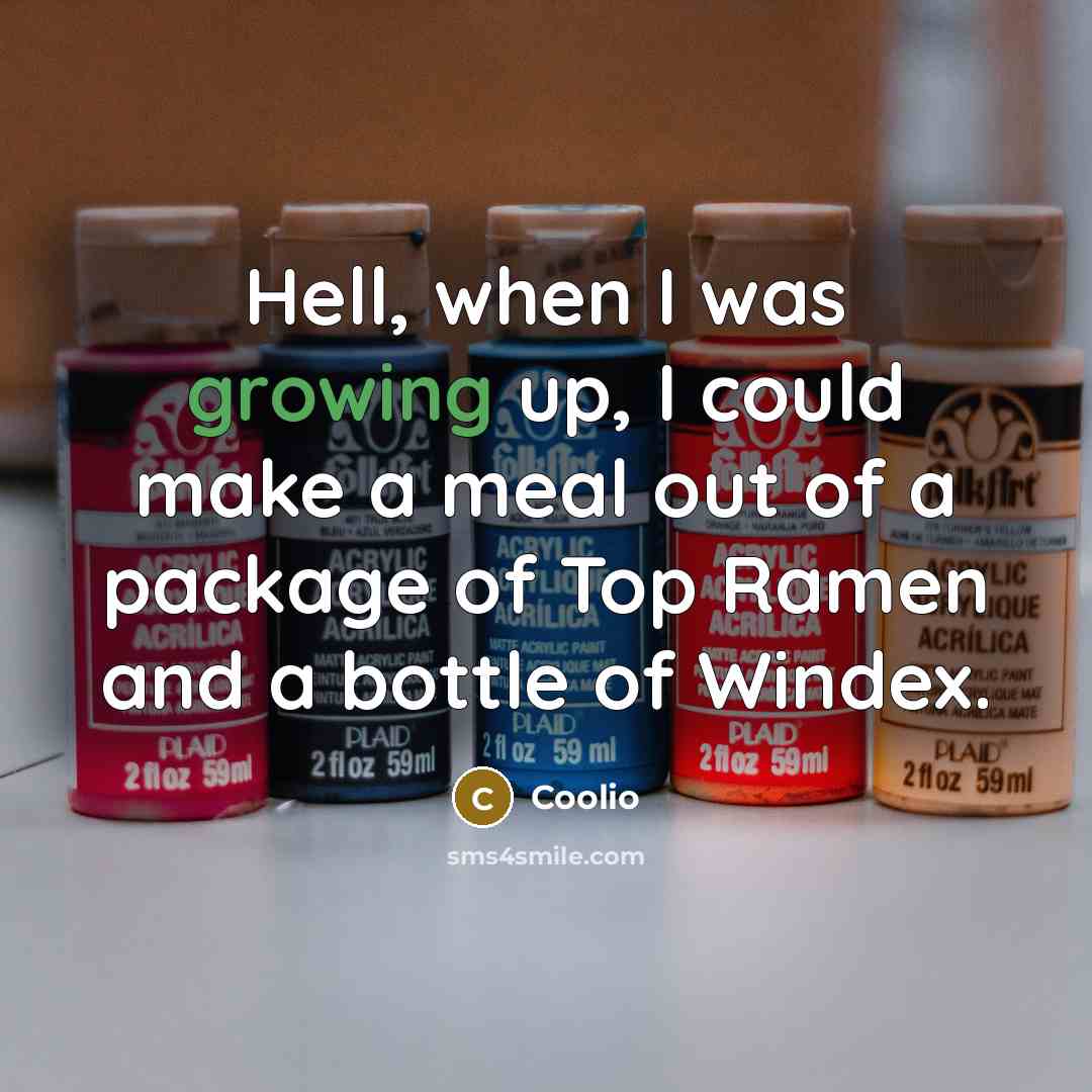 “Hell, when I was growing up, I could make a meal out of a package of Top Ramen and a bottle of Windex.” quote by Coolio