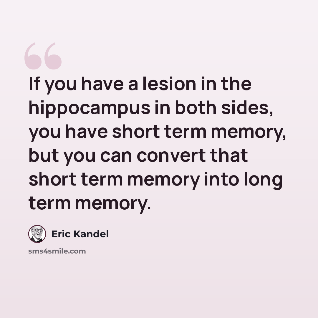 “If you have a lesion in the hippocampus in both sides, you have short term memory, but you can convert that short term memory into long term memory.” quote by Eric Kandel